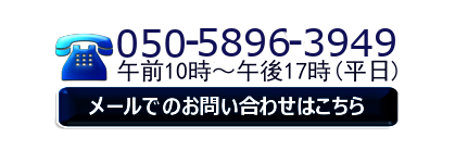 ネットレッスン