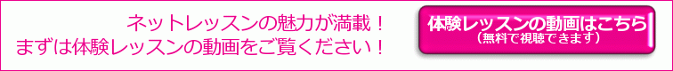 体験レッスンの動画